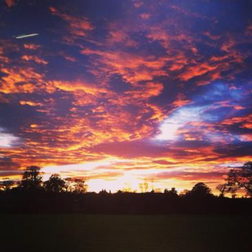 1472801_10152105913088647_1748268357_n