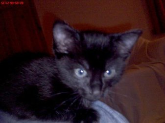 223276_5498528646_4358_n