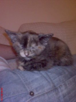 225641_5498518646_3722_n