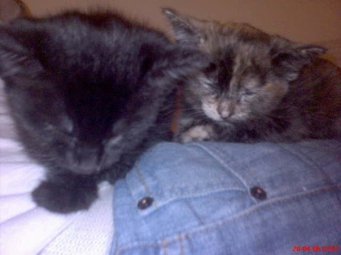 227291_5498523646_4045_n