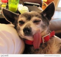 i-m-exhausted-go-away_259554-640x