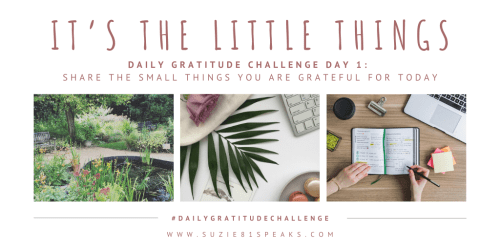 It's the Little Things - Daily Gratitude Challenge